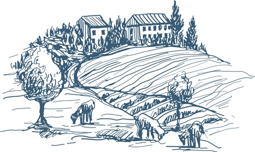 Иллюстрация к книге — Еда без границ: Правила вкусных путешествий [i_026.jpg]