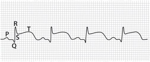 Иллюстрация к книге — Тук-тук, сердце! Как подружиться с самым неутомимым органом и что будет, если этого не сделать [i_017.jpg]