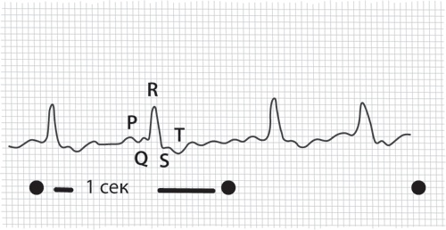 Иллюстрация к книге — Тук-тук, сердце! Как подружиться с самым неутомимым органом и что будет, если этого не сделать [i_018.jpg]