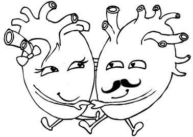 Иллюстрация к книге — Тук-тук, сердце! Как подружиться с самым неутомимым органом и что будет, если этого не сделать [i_023.jpg]