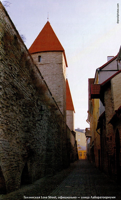 Иллюстрация к книге — Таллин. Любовь и смерть в старом городе [i_022.jpg]
