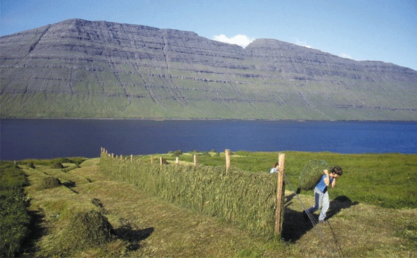 Иллюстрация к книге — Люди Севера: История викингов, 793–1241 [i_020.jpg]