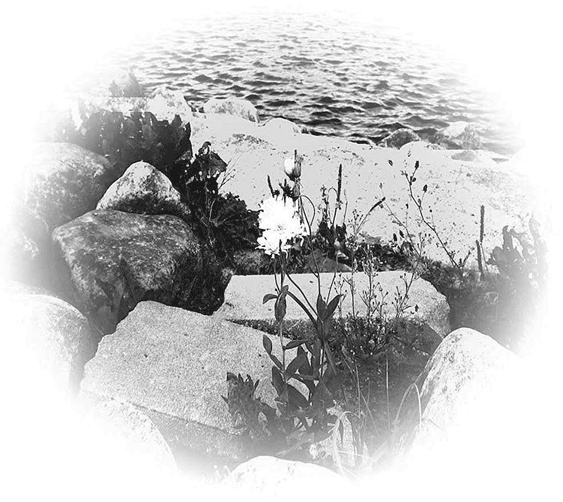 Иллюстрация к книге — Memento. Книга перехода [i_003.jpg]