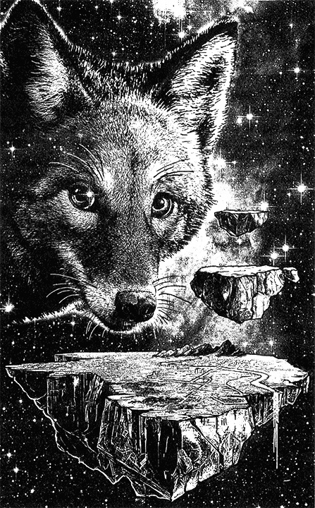 Иллюстрация к книге — Крылья ворона, кровь койота [i_002.jpg]