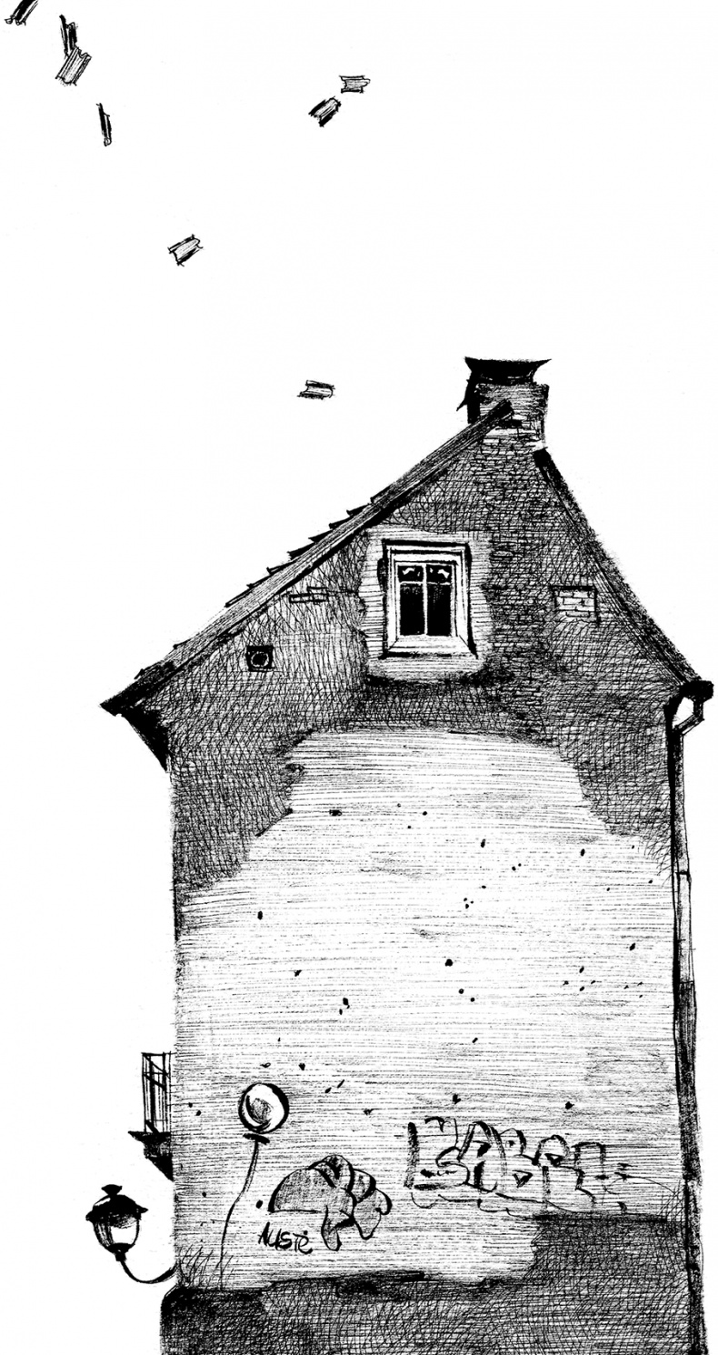 Иллюстрация к книге — Сказки Старого Вильнюса V [i_011.jpg]