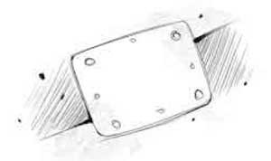 Иллюстрация к книге — Пардус. Книга 5. Восставшая из пепла [i_005.jpg]