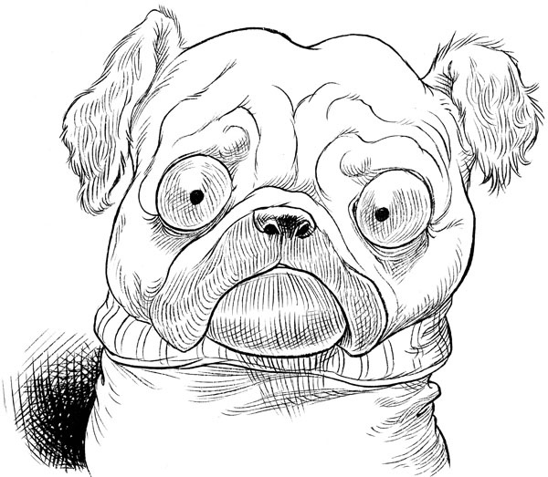 Иллюстрация к книге — Юная леди Гот и грозовые псы [_89.jpg]