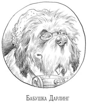 Иллюстрация к книге — Юная леди Гот и призрак мышонка [i_018.jpg]