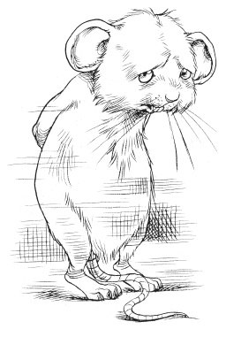 Иллюстрация к книге — Юная леди Гот и призрак мышонка [i_100.jpg]