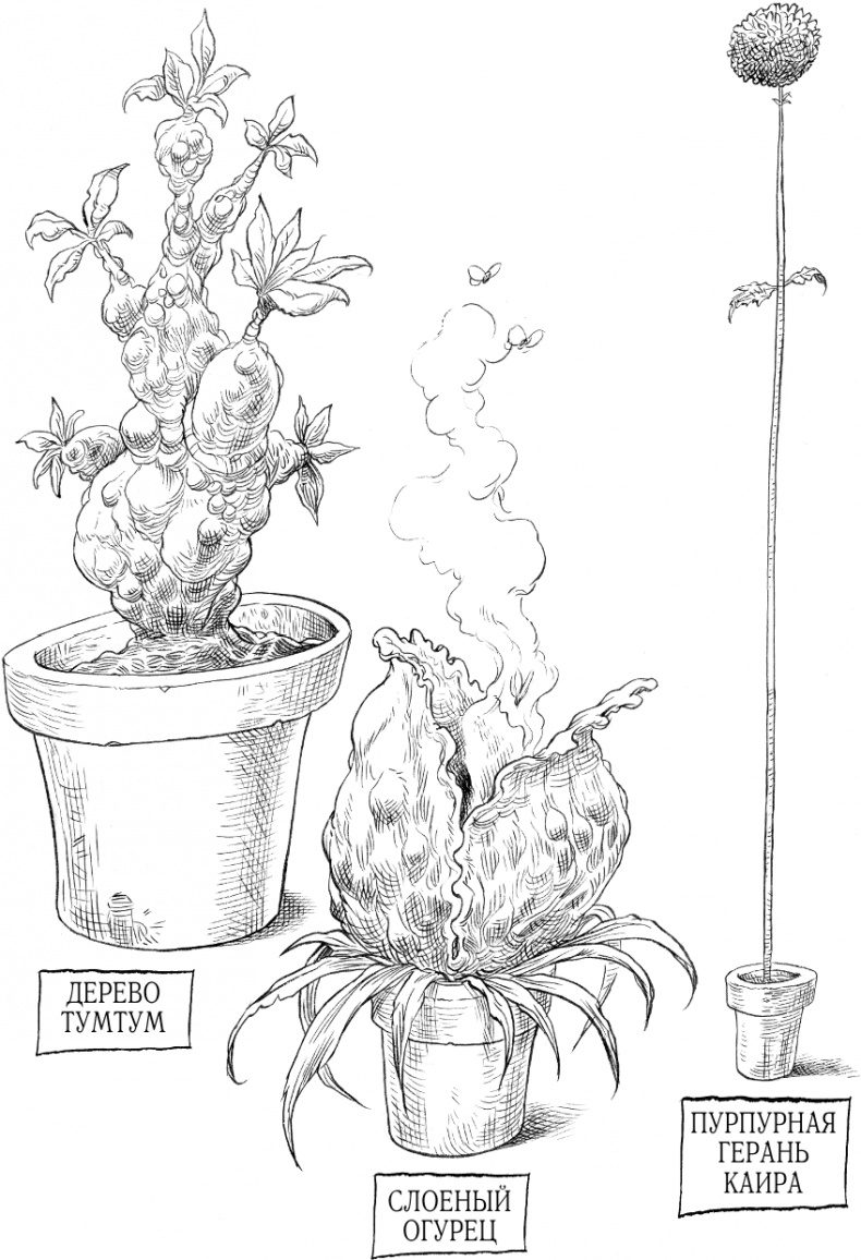 Иллюстрация к книге — Юная леди Гот и Праздник Полной Луны [i_051.jpg]