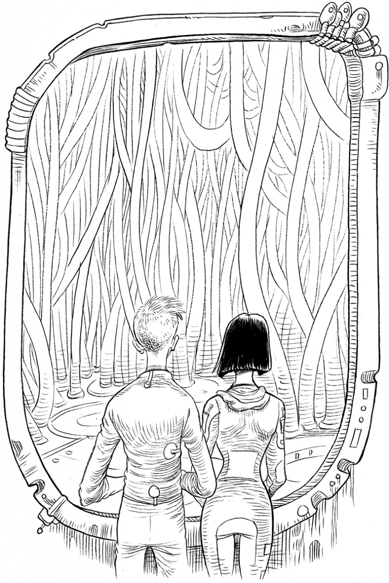 Иллюстрация к книге — Охотник на зоидов [i_075.jpg]