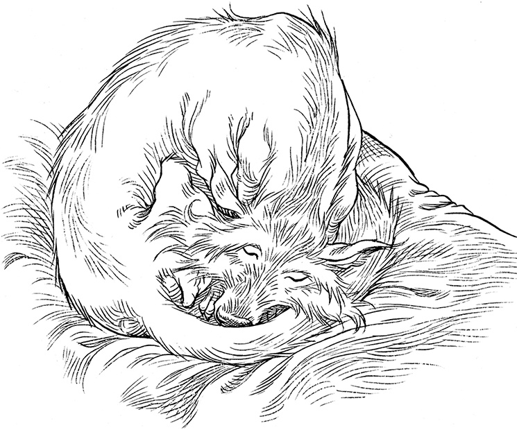 Иллюстрация к книге — Охотник на зоидов [i_102.jpg]