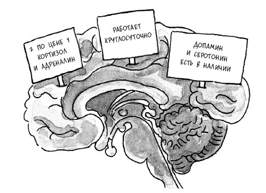 Иллюстрация к книге — Сила мысли. Поменяйте ход своих мыслей, измените свою жизнь [i_003.jpg]