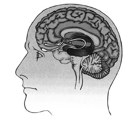 Иллюстрация к книге — Сила мысли. Поменяйте ход своих мыслей, измените свою жизнь [i_004.jpg]