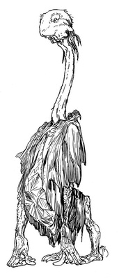 Иллюстрация к книге — Сказки сироты: Города монет и пряностей [i_003.jpg]