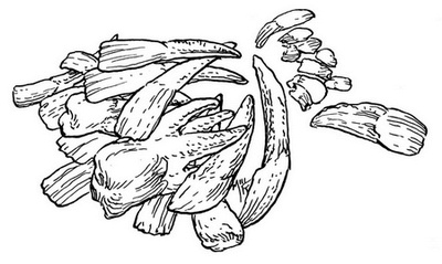 Иллюстрация к книге — Сказки сироты: Города монет и пряностей [i_006.jpg]