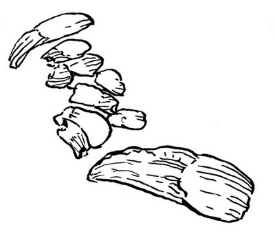 Иллюстрация к книге — Сказки сироты: Города монет и пряностей [i_008.jpg]