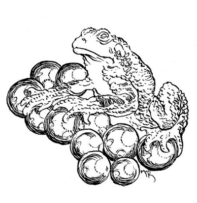 Иллюстрация к книге — Сказки сироты: Города монет и пряностей [i_020.jpg]