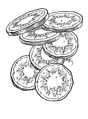 Иллюстрация к книге — Сказки сироты: Города монет и пряностей [i_023.jpg]