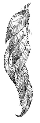 Иллюстрация к книге — Сказки сироты: Города монет и пряностей [i_028.jpg]