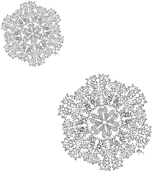 Иллюстрация к книге — Сказки сироты: Города монет и пряностей [i_062.jpg]