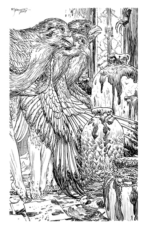 Иллюстрация к книге — Сказки сироты: Города монет и пряностей [i_076.jpg]