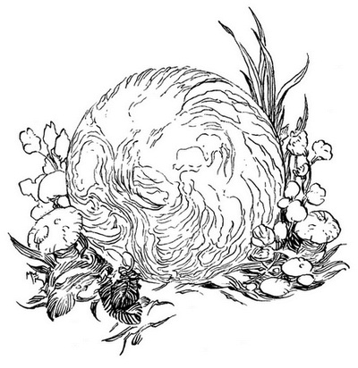 Иллюстрация к книге — Сказки сироты: Города монет и пряностей [i_108.jpg]