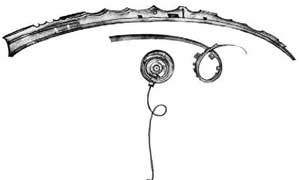 Иллюстрация к книге — Живые. Книга 3. Земля будет принадлежать нам [i_006.jpg]