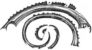 Иллюстрация к книге — Живые. Книга 3. Земля будет принадлежать нам [i_018.jpg]