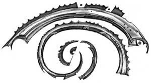 Иллюстрация к книге — Живые. Книга 3. Земля будет принадлежать нам [i_050.jpg]