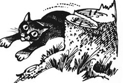 Иллюстрация к книге — Битвы племен [pic_12.jpg]