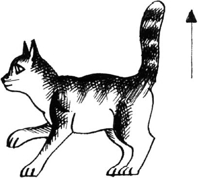 Иллюстрация к книге — Битвы племен [pic_24.jpg]