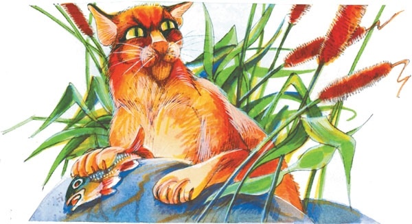 Иллюстрация к книге — Битвы племен [pic_35.jpg]