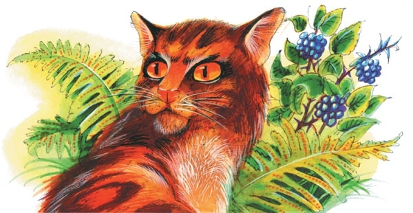 Иллюстрация к книге — Битвы племен [pic_4.jpg]