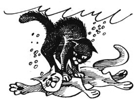 Иллюстрация к книге — Битвы племен [pic_42.jpg]