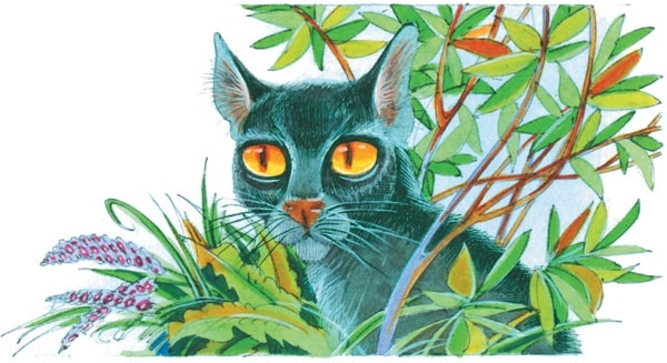 Иллюстрация к книге — Битвы племен [pic_49.jpg]