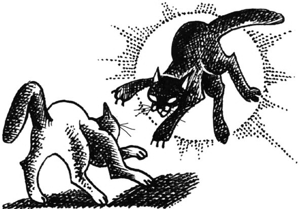 Иллюстрация к книге — Битвы племен [pic_53.jpg]