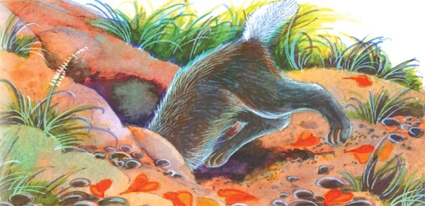 Иллюстрация к книге — Битвы племен [pic_55.jpg]