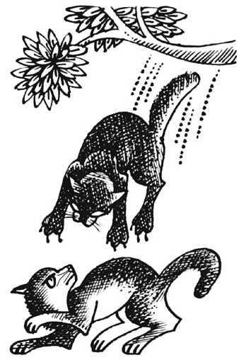 Иллюстрация к книге — Битвы племен [pic_65.jpg]