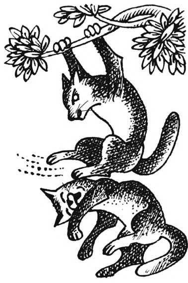 Иллюстрация к книге — Битвы племен [pic_66.jpg]