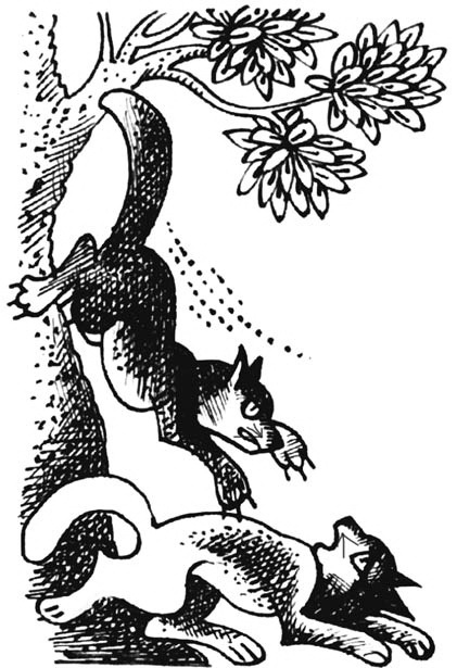 Иллюстрация к книге — Битвы племен [pic_67.jpg]