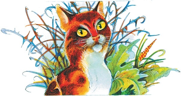 Иллюстрация к книге — Битвы племен [pic_73.jpg]