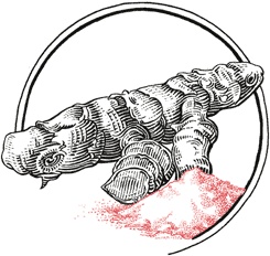 Иллюстрация к книге — Кухня по правилам и без. Что нужно знать, чтобы начать экспериментировать [i_012.jpg]