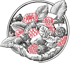 Иллюстрация к книге — Кухня по правилам и без. Что нужно знать, чтобы начать экспериментировать [i_022.jpg]