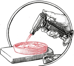 Иллюстрация к книге — Кухня по правилам и без. Что нужно знать, чтобы начать экспериментировать [i_045.jpg]