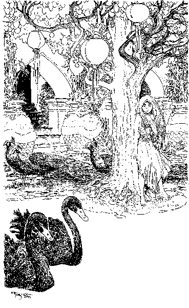 Иллюстрация к книге — В ночном саду [i_001.jpg]