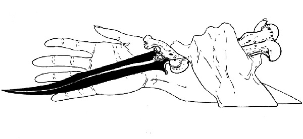 Иллюстрация к книге — В ночном саду [i_003.jpg]