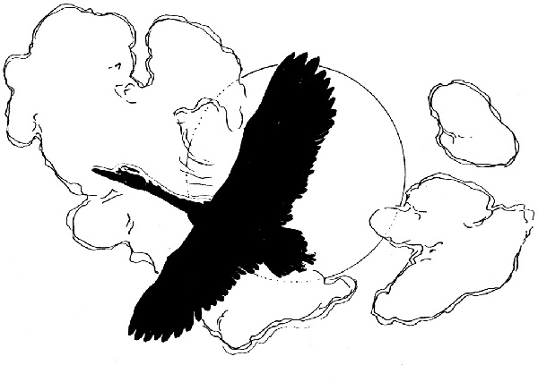 Иллюстрация к книге — В ночном саду [i_007.jpg]