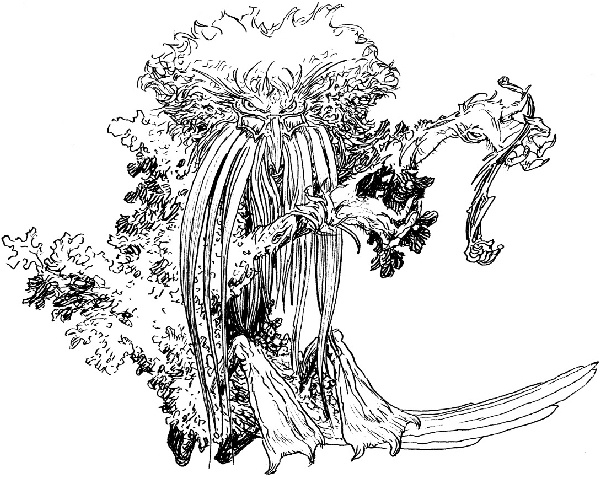 Иллюстрация к книге — В ночном саду [i_010.jpg]