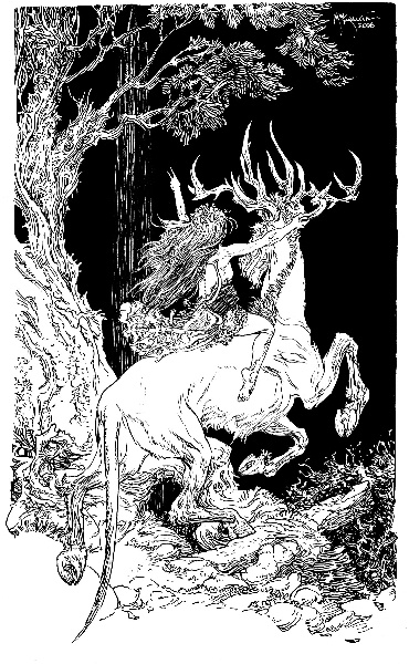 Иллюстрация к книге — В ночном саду [i_011.jpg]